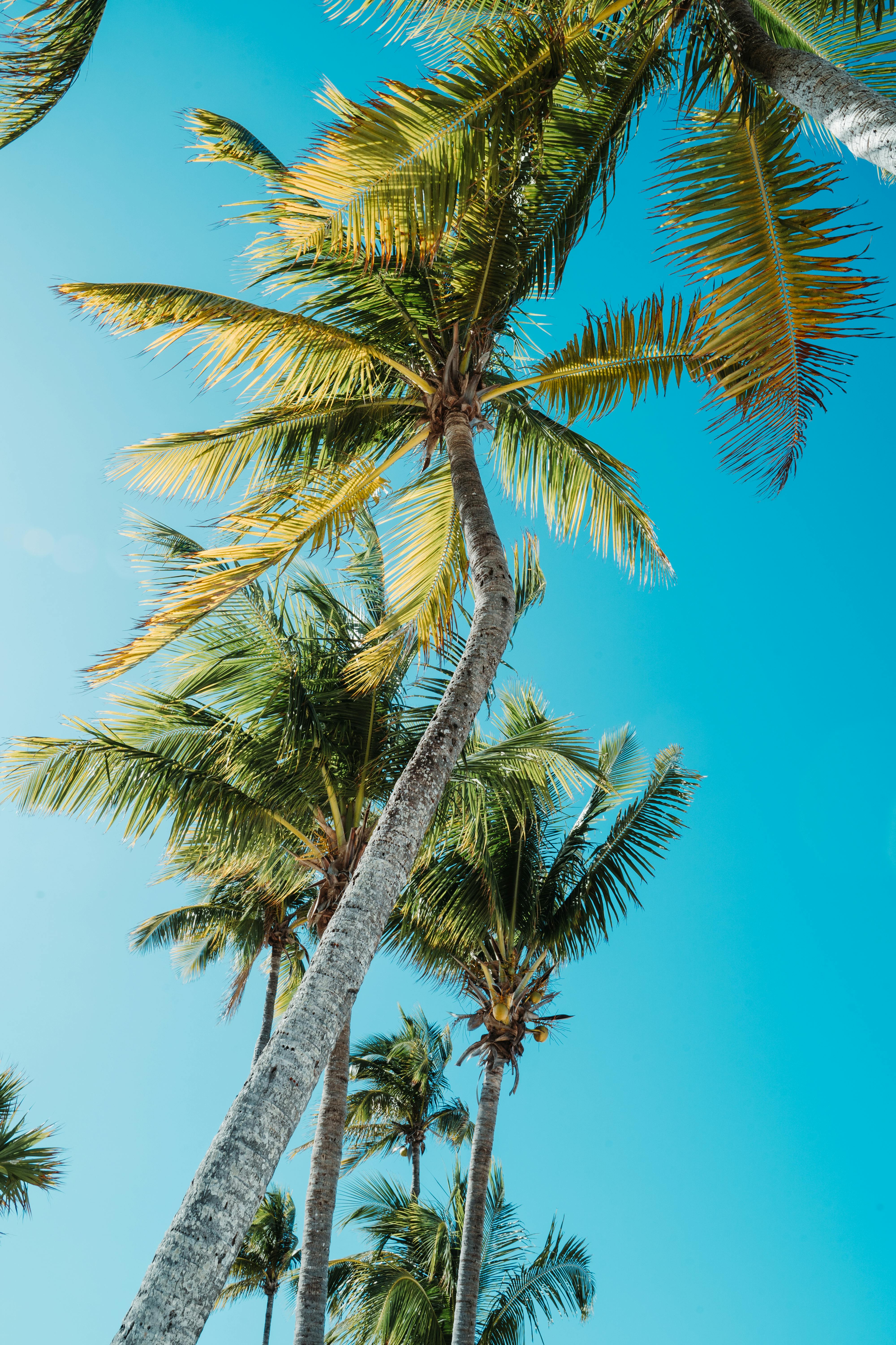 Caribbean setting representing Antigua and Barbuda